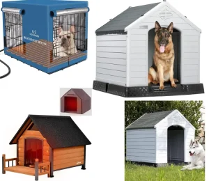Best Heated Dog House