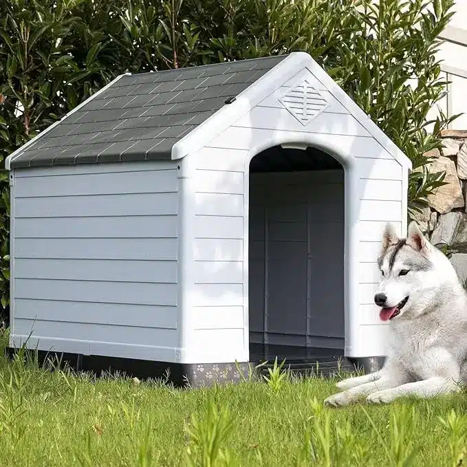 Outdoor Indoor Dog House